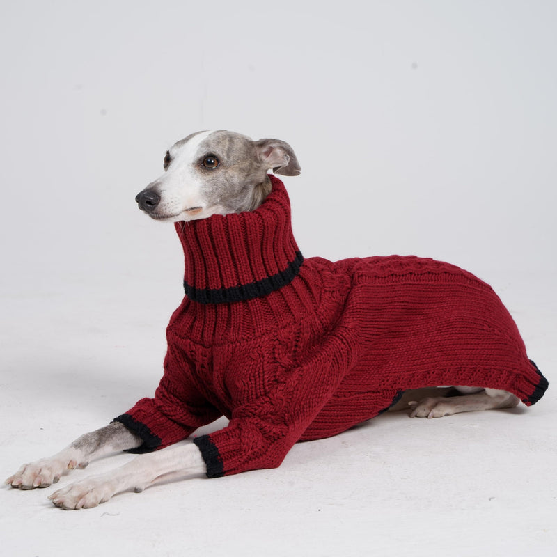 ESCCBOO Italian Greyhound Clothes, Warm Sweater for Whippets, Dog Onesie, Two-Legged Turtleneck Warm Sweater for Small Medium Dogs (Medium, Red) - PawsPlanet Australia