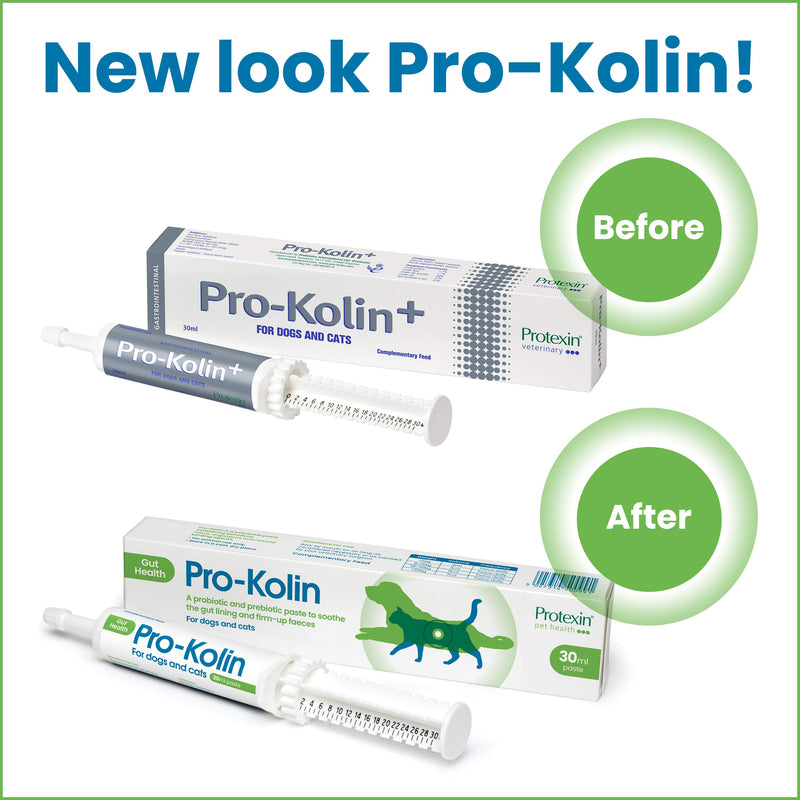Pro-Kolin for Dogs and Cats Probiotic Paste and Syringe, 60ml 60 ml (Pack of 1) - PawsPlanet Australia