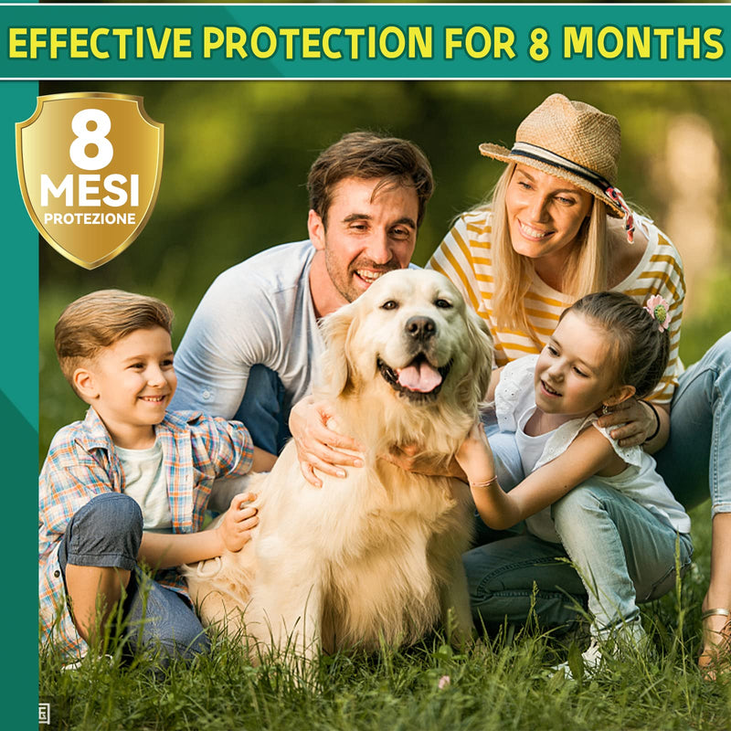 Flea and Tick Collar for Dogs, 63.5cm Adjustable and Waterproof Flea Collar for dogs, 8 Months Valid Flea Collar with Tick Control, Suitable Small Medium and large dogs (UK-1p) UK-1p - PawsPlanet Australia