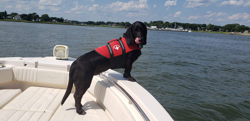 [Australia] - Travelin K9 Premium Red Neoprene Dog Life Jacket, Reflective, Bouyant (Small 20-24" Chest) 