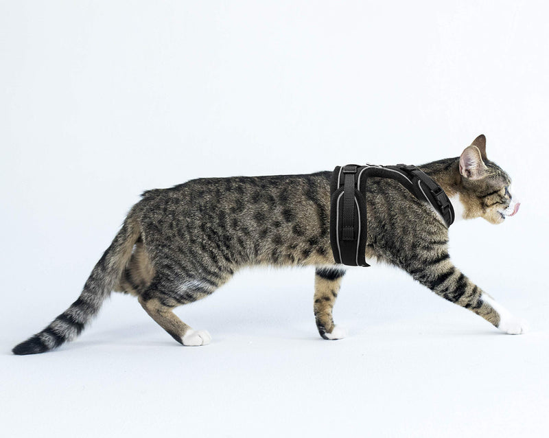 [Australia] - Mudinpet Cat Harness and Leash for Walking Escape Proof, Small Animal Harness Vest with Leash Set, Reflective Adventure Kitten Puppy Vest for Small Medium Large Cat with 4.5ft Cat Leash Lead XXS Chest 8.5-12in Black with Leash 