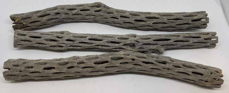 Awesome Aquatic Long Natural Cholla/Choya Wood 3 Pieces 12” for Shrimp Habitat and Food Treat Hermit Crabs Plecos Aquarium Decoration Lowers pH Hideouts and Chew Toys Reptiles Organic - PawsPlanet Australia
