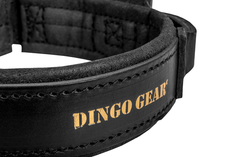 DINGO GEAR Leather Collar for Dog, Amortized, Black, with a Handle, Handmade Drago S04021, 48 - 56 cm - PawsPlanet Australia