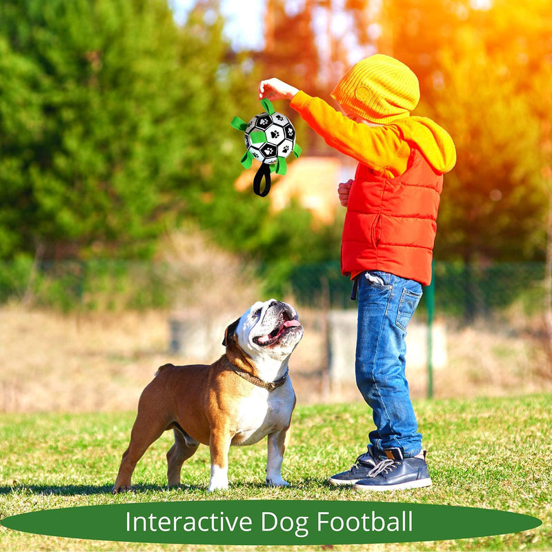 Dog Toys - Dog Football with Straps for Interactive Fetch & Tug Games. Durable Dog Ball Toy for Water, Garden & Outdoors Green - PawsPlanet Australia