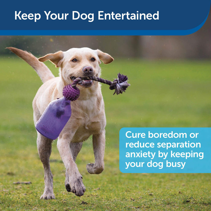 Premier Pet PetSafe Busy Buddy Tug-A-Jug Meal-Dispensing Dog Toy Use with Kibble or Treats - PawsPlanet Australia