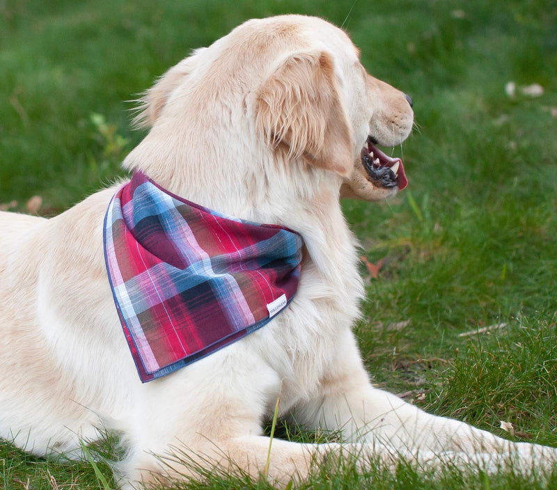 [Australia] - Willowear Plaid Dog Bandanas with Lurex Shimmer Medium Cassidy Shimmer 