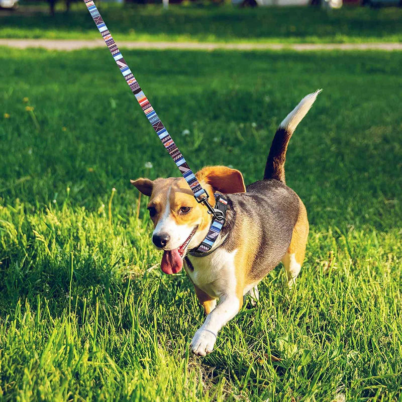 Roses&Poetry dog leash (1.5 m) dog collar in set for puppies, small, medium, large dogs with wonderful design, adjustable pet dog collar and dog leash set (stripes L) stripes L - PawsPlanet Australia