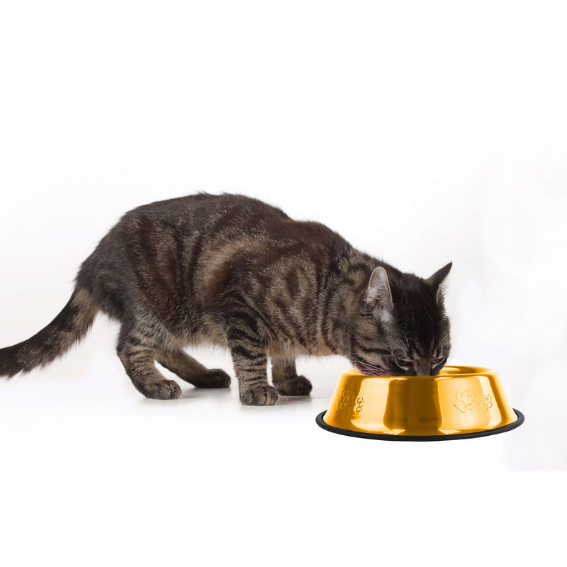 Platinum Pets Embossed Non-Tip Stainless Steel Cat/Dog Bowl X-Small 24K Gold - PawsPlanet Australia