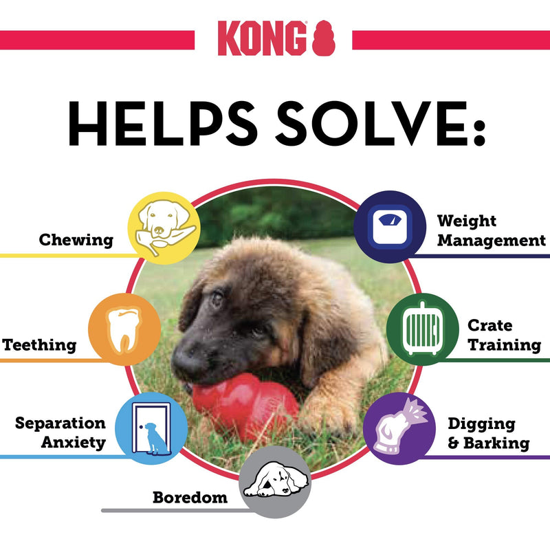 KONG - Classic Dog Toy, Durable Natural Rubber- Fun to Chew, Chase & Fetch- For Large Dogs - PawsPlanet Australia