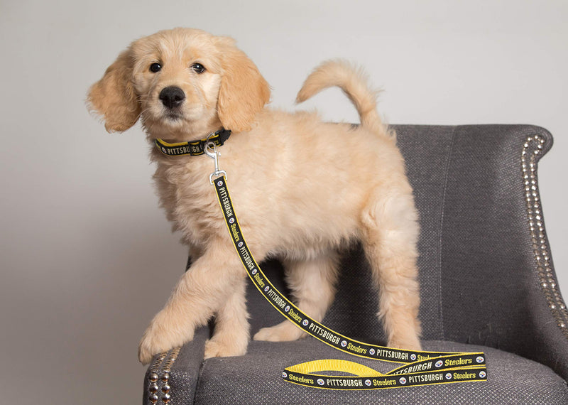 [Australia] - Pets First NFL Sports Dog Pet Leash, Available in Various Teams and Sizes Pittsburgh Steelers Small 