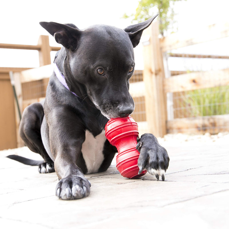 [Australia] - KONG Dental Dog Toy Large Standard Packaging 