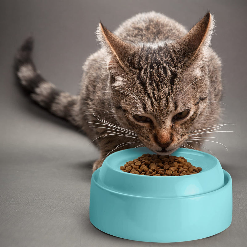 CatGuru Cat Bowls, Whisker Stress Free Cat Food Bowl, Reliefs Whisker Fatigue, Wide Cat Bowl, Non Slip Cat Food Bowls, Shallow Cat Dish, Kitten Supplies, Cat Feeding & Watering Supplies 1 Count (Pack of 1) Aruba - PawsPlanet Australia