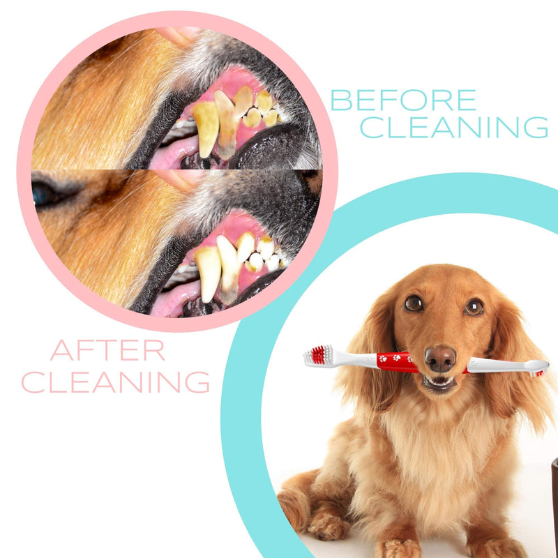 Pet Toothbrush for Dogs, Cats with Soft Bristles - Easy Teeth Cleaning & Dental Care, Non Slip Dual Head Dog Toothbrush - Choose Your Pack (Pack of 1) Pack of 1 - PawsPlanet Australia