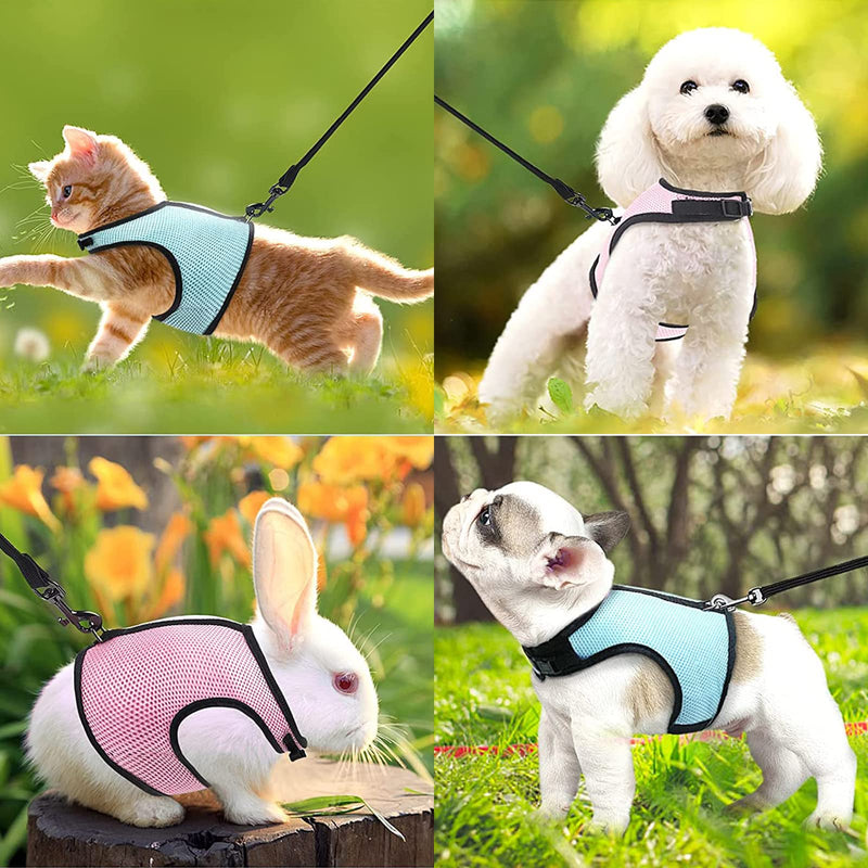Pack of 2 Adjustable Soft Rabbit Harness, Breathable Rabbit Harness, Mesh Rabbit Harness, for Small Animal Rabbit Hamster Cat Outdoor (M, Blue, Pink) - PawsPlanet Australia