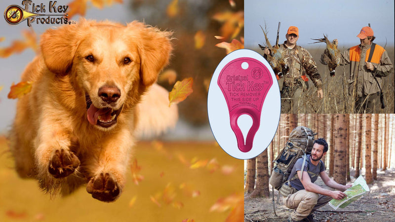 The Original Tick Key -Tick Removal Device - Portable, Safe and Highly Effective Tick Removal Tool (Pink) - PawsPlanet Australia