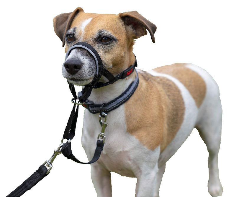 HALTI Headcollar Size 1 Black, UK Bestselling Dog Head Harness to Stop Pulling on the Lead, Easy to Use, Padded Nose Band, Adjustable & Reflective, Professional Anti-Pull Training Aid for Small Dogs - PawsPlanet Australia