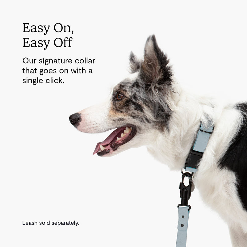 Fable Waterproof Signature Collar - Light Blue - Large - PawsPlanet Australia