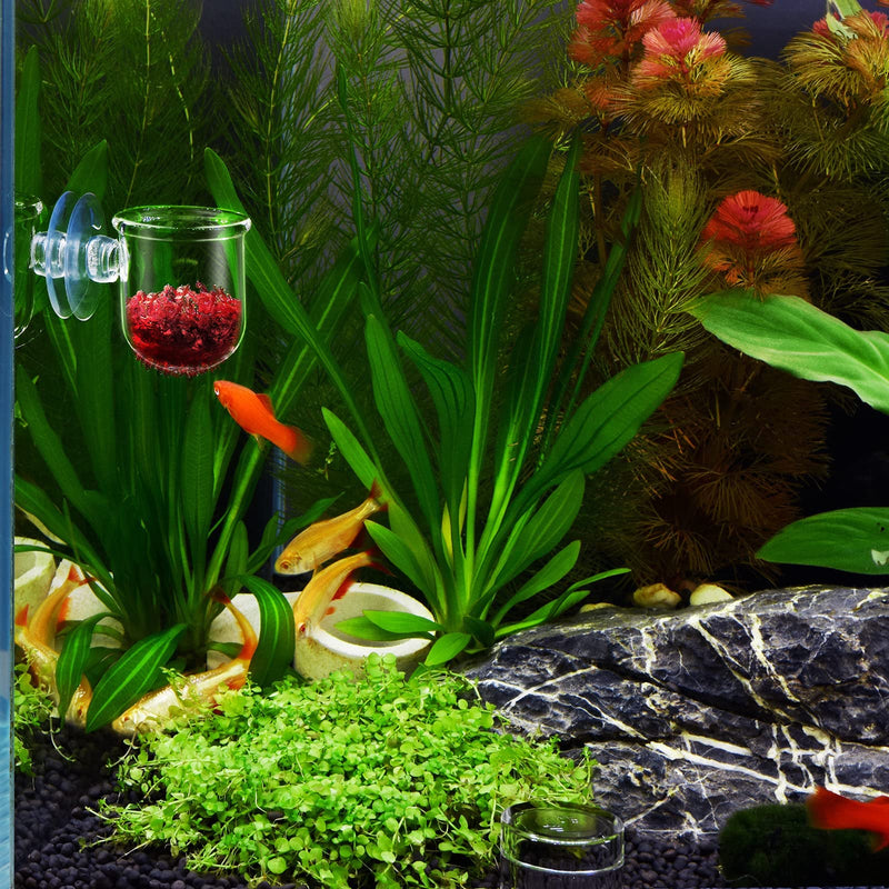 WEAVERBIRD Aquarium Glass Cone Feeder Red Worm Fish Tank Plant Shrimp Feeder Seam Crystal Fish Feeding Cup with Suction - PawsPlanet Australia