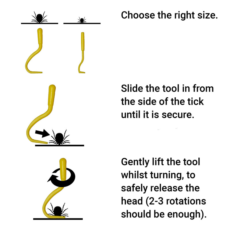 Tick Removers From Animal Hospital Pack of Two (one big one small) The Best Most Effective Tick Removal Tool on The Market, Used For The Safe Removal Of Ticks From Dogs Horses Cats Sheep or Human 1 Pack - PawsPlanet Australia