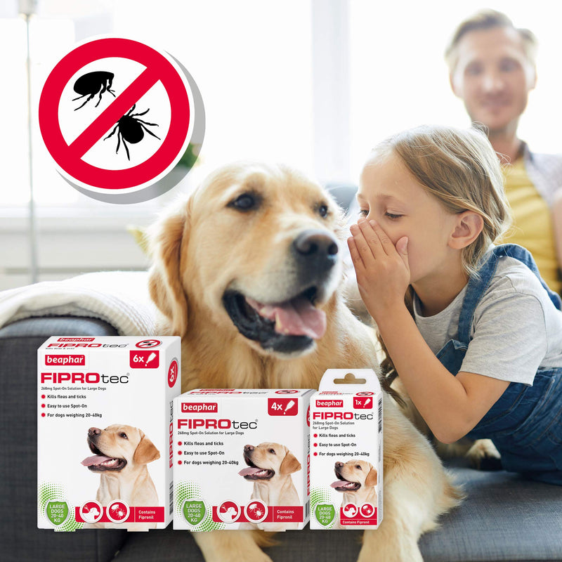 Beaphar Fiprotec Spot On Large Dog, 6 Pipettes - PawsPlanet Australia