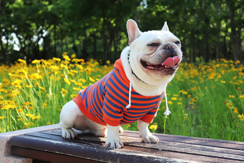 [Australia] - Strip Dog Hoodie Dog Sweatshirt Outfit with Hat Soft Breathable Cotton Hoodie Clothes for Dog Pet Sweater Coat Apparel for Small Medium Large Dogs Orange and Blue S Back: 9.5", Chest: 9", 13.4" 