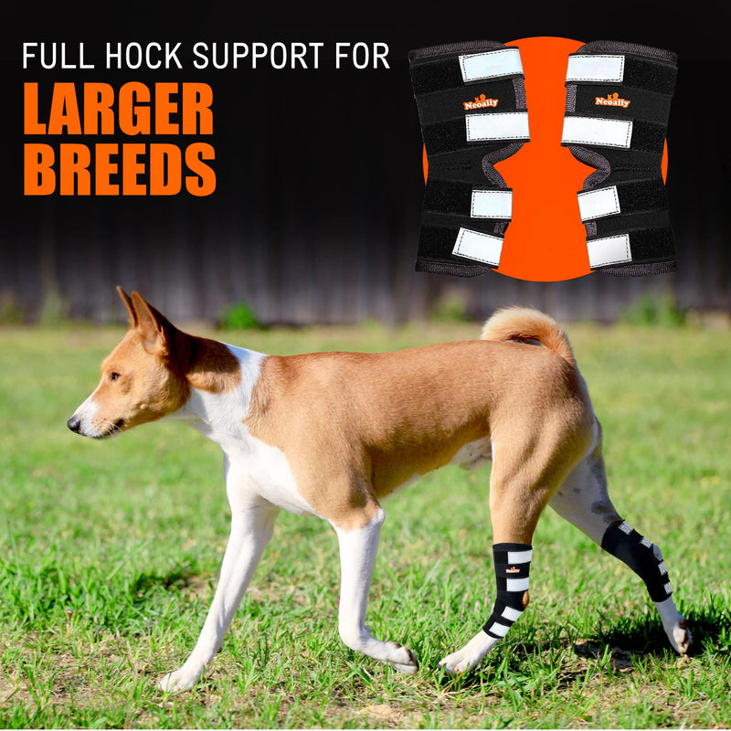 NeoAlly Dog Hind Leg Braces [Long Pair] Canine Rear Leg Hock Sleeves with Safety Reflective Straps for Joint Injury and Sprain Protection, Wound Healing and Arthritis (Small Long Pair) S Black - PawsPlanet Australia