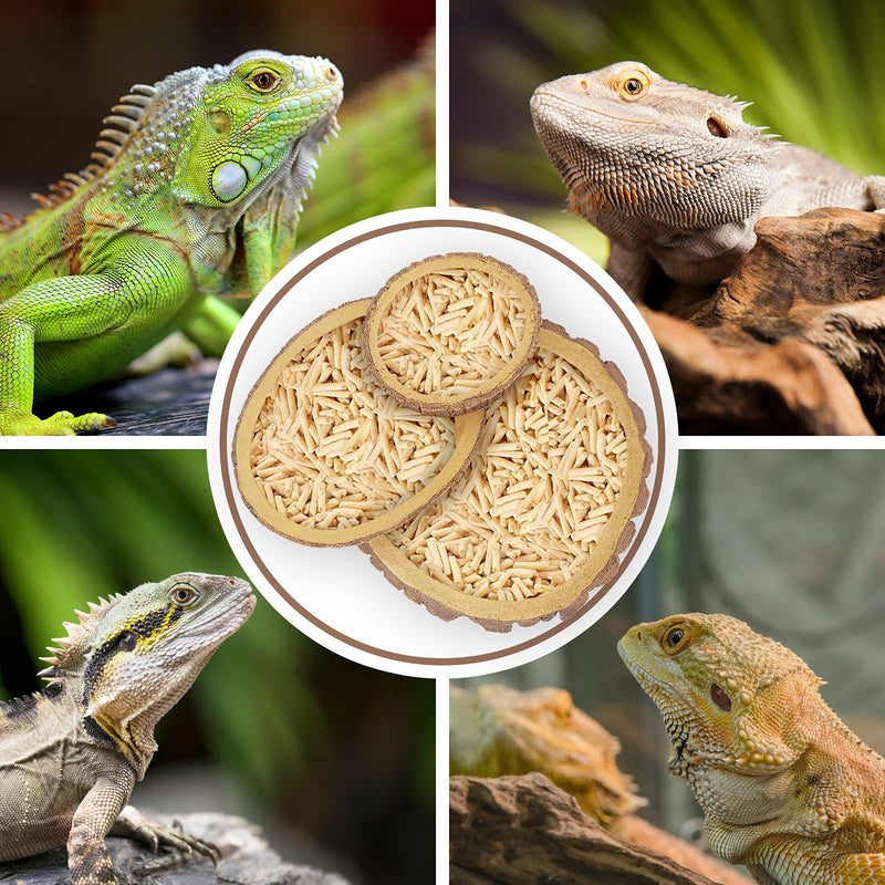 Shyfish Reptile Food and Water Bowls,Bearded Dragons Accessories,Food Bowls for Lizards,Small Snakes,Resin Material Reptile Decor S - PawsPlanet Australia