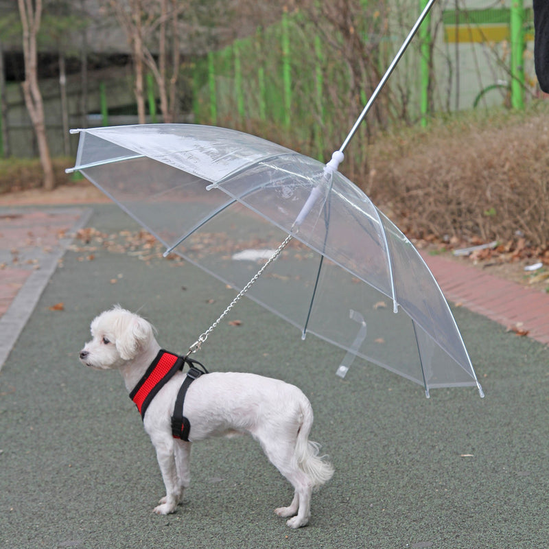 [Australia] - Puppia Authentic Umbrella for Dog, One Size, White 