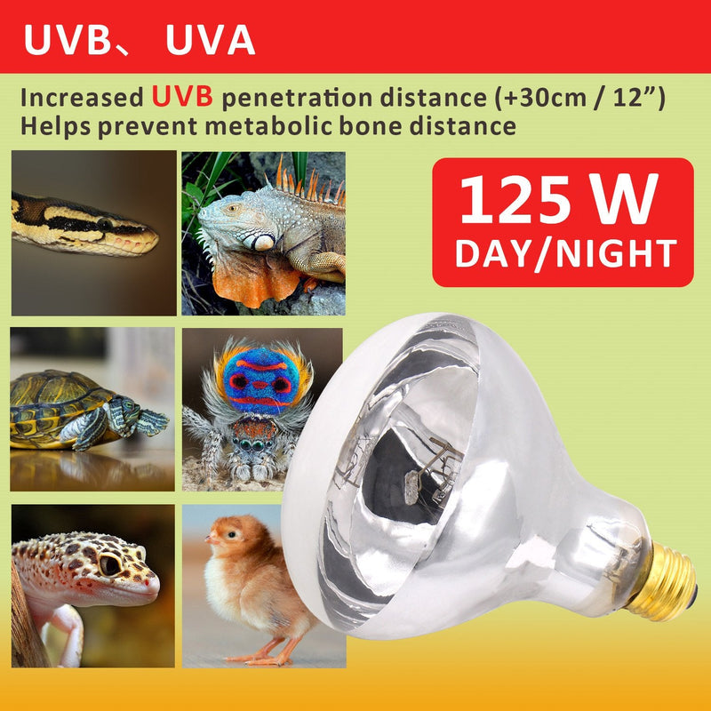 AIICIOO UVB UVA Reptile Heating Lamp D3 Simulate Sunlight Self-Ballasted Basking Bulb for Amphibian Promote Pets Calcium Absorption E27 - PawsPlanet Australia