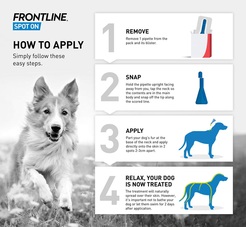 FRONTLINE Spot On Flea & Tick Treatment for Large Dogs (20-40 kg) - 6 Pipettes & Spot On Flea & Tick Treatment for Small Dogs (2-10 kg) - 6 Pipettes - PawsPlanet Australia