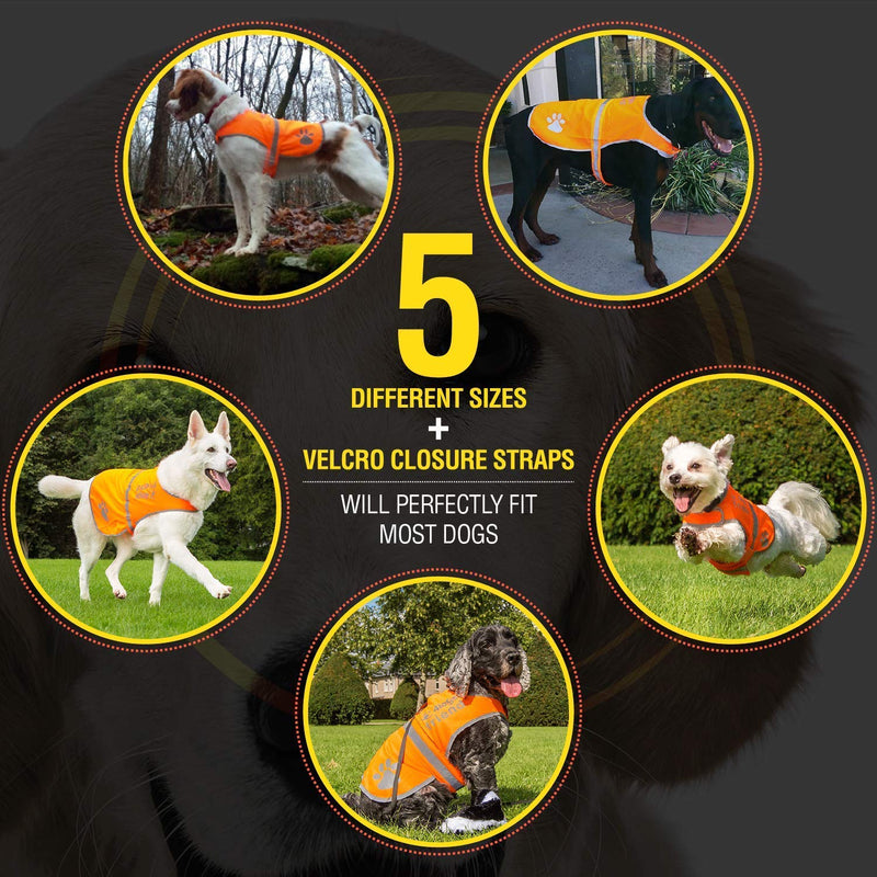 4LegsFriend Dog Safety Orange Reflective Vest with Leash Hole 5 Sizes - High Visibility for Outdoor Activity Day and Night, Keep Your Dog Visible, Safe from Cars & Hunting Accidents Small - PawsPlanet Australia