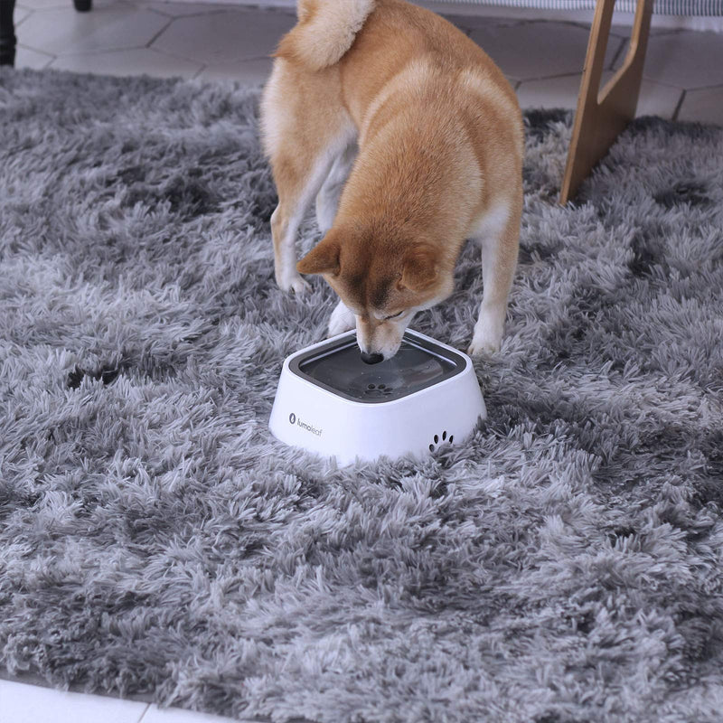 LumoLeaf No-Spill Pet Water Bowl Grey+White Companion - PawsPlanet Australia