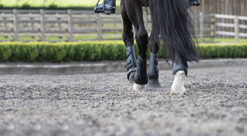 LeMieux Schooling Horse Boots Pair with TPU Strike Proof Shell and Shock Absorbent Lining - Equestrian Protective Footwear M Black - PawsPlanet Australia