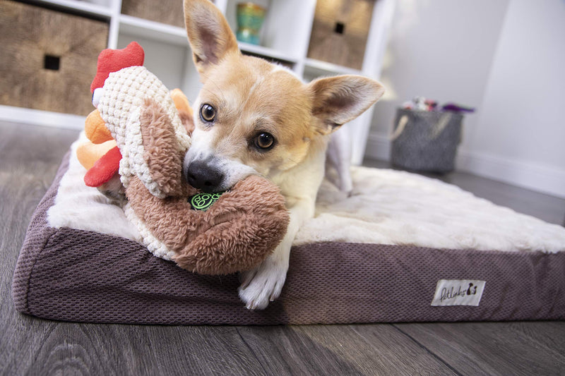 [Australia] - goDog Checkers Skinny Rooster With Chew Guard Technology Tough Plush Dog Toy, Brown, Small (70881) 