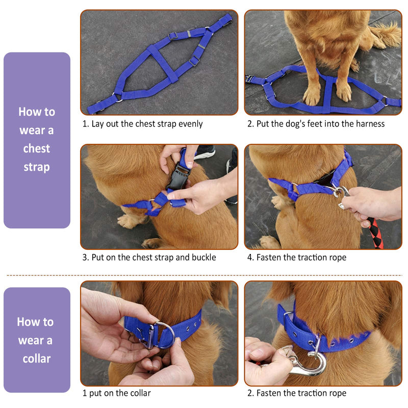 Ousuga Pet Collar Leash Harness Set Padded Soft Breathable Mesh Adjustable Nylon Pull Rope Long Lead Heavy Duty Training Set 3 Pack For Small Medium Large Dog Puppy（Blue） S Blue - PawsPlanet Australia