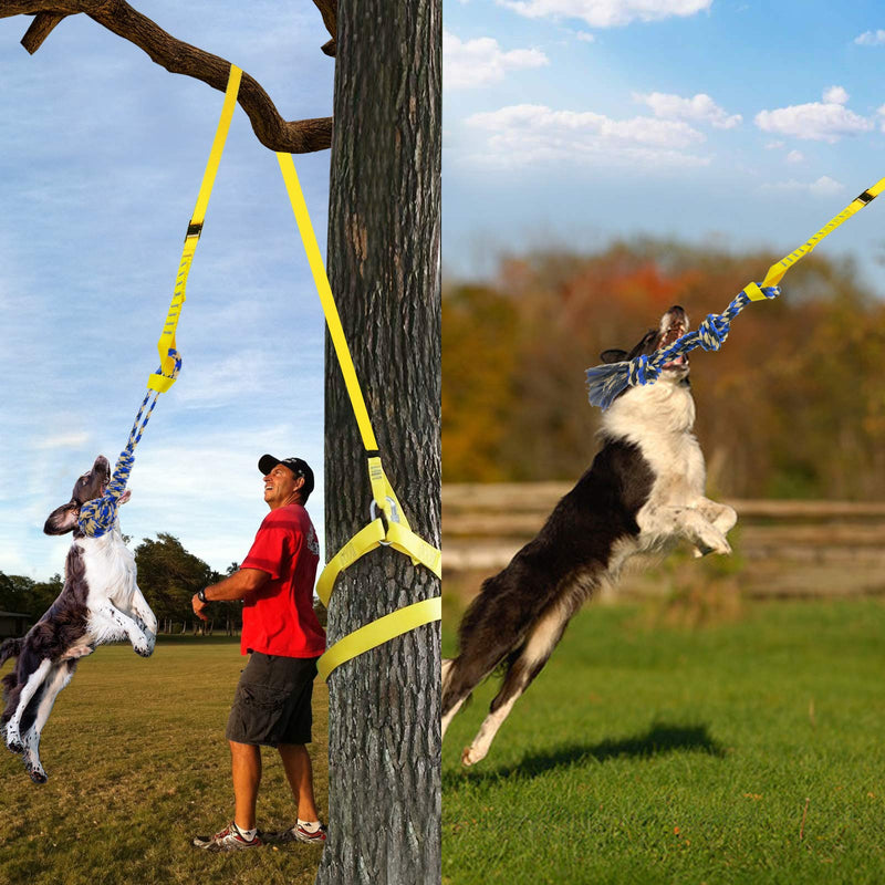 Dog Hanging Bungee Tug Toy: Interactive Tether Tug-of-War for Pitbull & Small to Large Dogs to Exercise and Fun Solo Play - Durable Retractable Tugger Dog Rope Toy with 2 Chew Rope Toys - PawsPlanet Australia