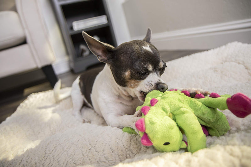 [Australia] - goDog Dragons with Chew Guard Technology Plush Squeaker Dog Toy, Bright Green and Pink, Small (70640) 