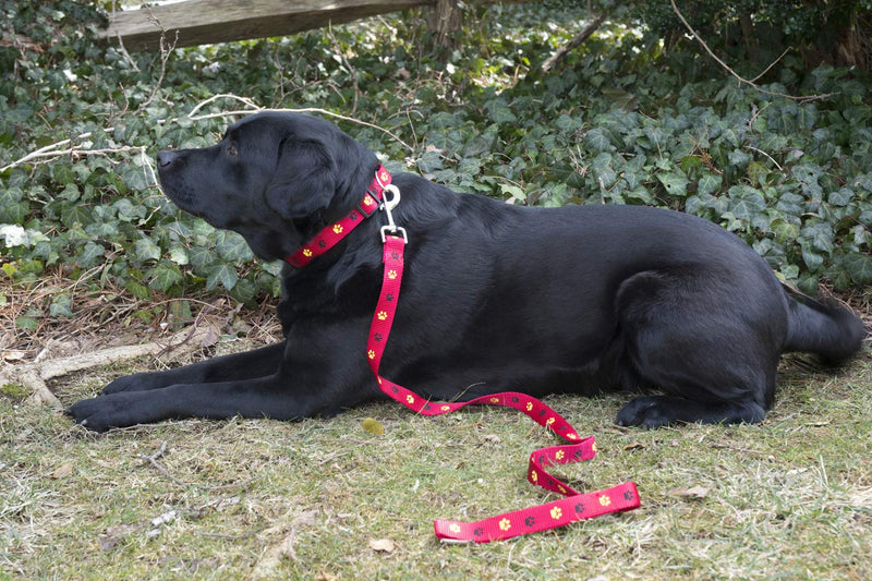 [Australia] - Iconic Pet Paw Print Adjustable Collar with Leash Large Red 