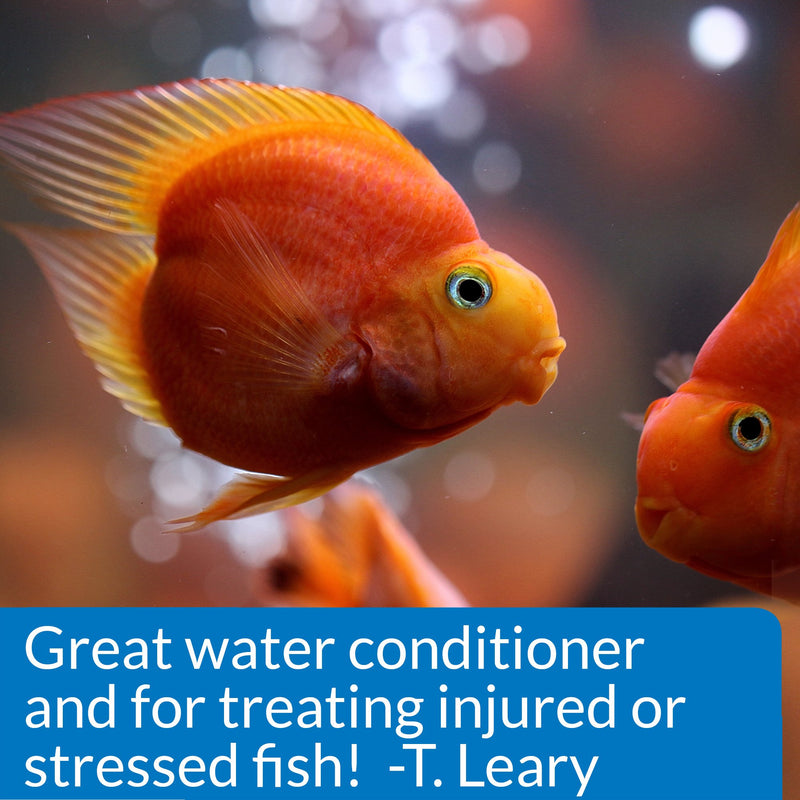 API Stress Coat Water Conditioner, Makes tap Water Safe, Replaces fish's Protective Coat Damaged by handling or Fish Fighting, Use When Adding or Changing Water, Adding Fish and When Fish are Injured 1-Ounce Aquarium Treatment - PawsPlanet Australia