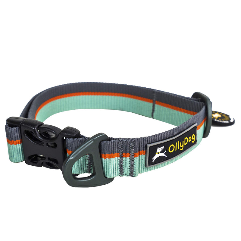 [Australia] - OllyDog Flagstaff Dog Collar, Surf, Large 