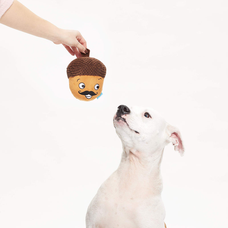 [Australia] - Barkbox Dog Squeak Toys | 2-in-1 Interactive Toys for Chewers | Durable Tug and Fetch Toys | Stuffed Plush Toys and Balls for Small/Medium/Large Dogs Monsieur Acron (2-in-1 Toy) Medium/Large Dog 