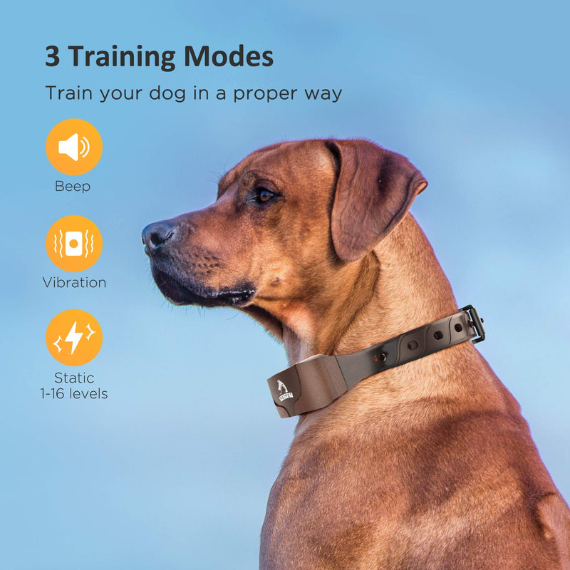 PATPET Dog Training Collar IPX7 Waterproof Training Collars for Dogs with Remote Rechargeable 3 Training Modes, Beep, Vibration and 16 Static Levels - PawsPlanet Australia