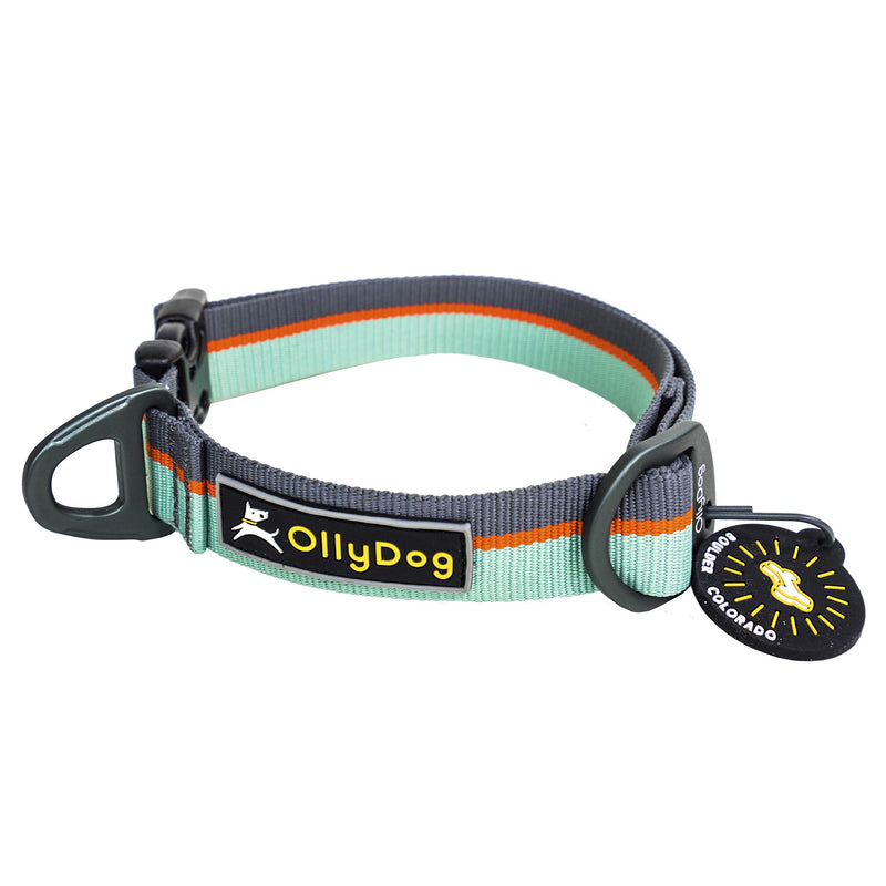 [Australia] - OllyDog Flagstaff Dog Collar, Surf, Large 