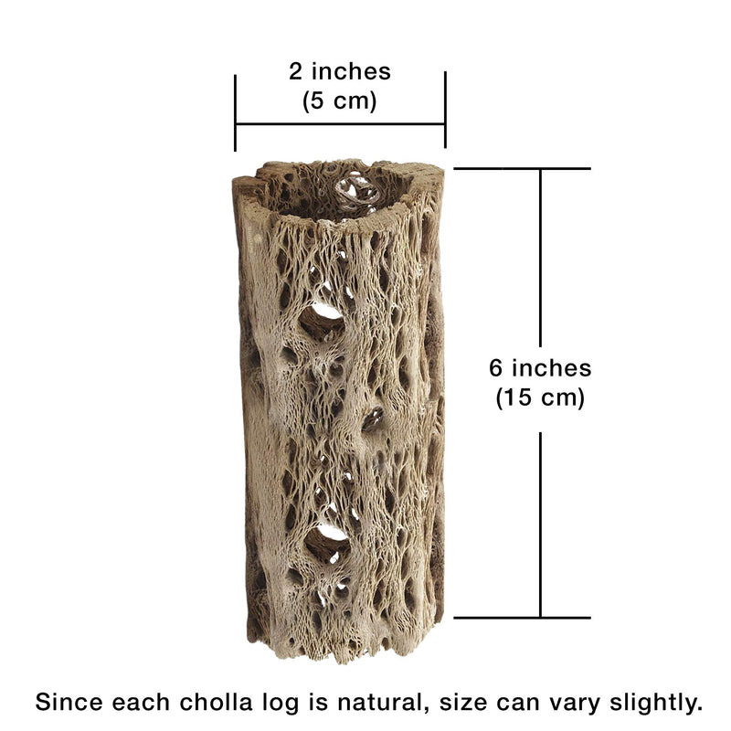 Meric Cholla Cave for Crested Gecko, 6", Exercise, Climbing, Crawling, Perching and Basking Spot, Creates an Enjoyable and Healthy Environment, Multifunctional Vivarium Log Decor, 2 Pcs per Pack - PawsPlanet Australia