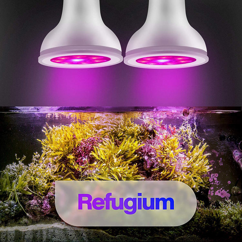 Luxbird LED Plant Grow Light Bulb PAR20 8W Waterproof 630nm Refugium Light Bulb, E26 Socket, Not Dimmable, Suitable for Macroalgae and Hydroponics Indoor Garden Greenhouse and Organic Soil - PawsPlanet Australia