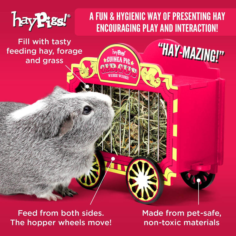 HAYPIGS Guinea Pig Toys and Accessories - Circus themed WHEEK WAGON Hay Hopper - Guinea Pig Hay Rack - Dwarf Rabbit Feeder - Hay Racks for Guinea Pigs - Hay Feeder - Chinchilla Hay Rack - PawsPlanet Australia