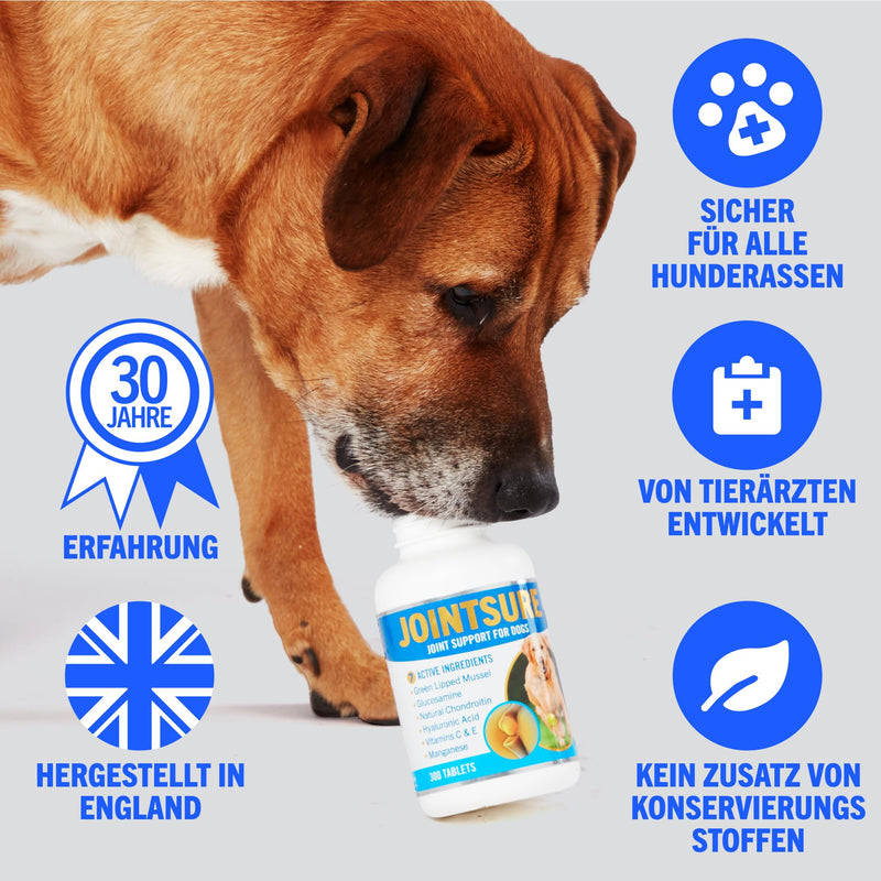 JOINTSURE joint tablets for dogs - 300 tablets - premium joint capsules for dogs with glucosamine joint powder and green-lipped mussels, promote mobility and joints - PawsPlanet Australia