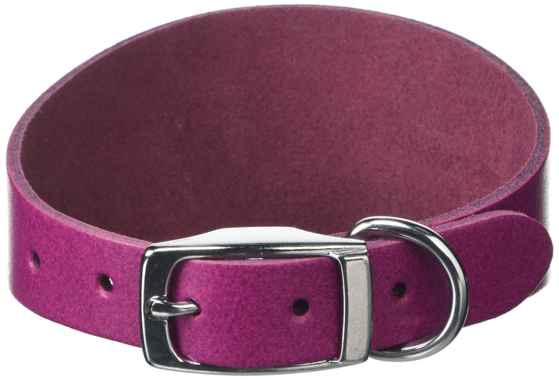 BBD Pet Products Budget Whippet Collar, One Size, 3/4 x 10 to 12-Inch, Boysenberry - PawsPlanet Australia