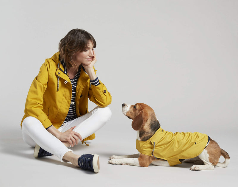 Rosewood Joules Antique Gold Water Resistant Dog Coat, Mustard, Small Mustard Yellow S - PawsPlanet Australia