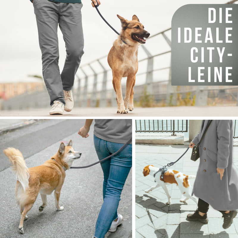 ne&no rope leash for dogs 1.2 m I training leash I dog leash robust I round lead, braided I hand strap I rope leash dog I city leash I dog leash (ANTHRACITE, 120 cm) ANTHRACITE - PawsPlanet Australia